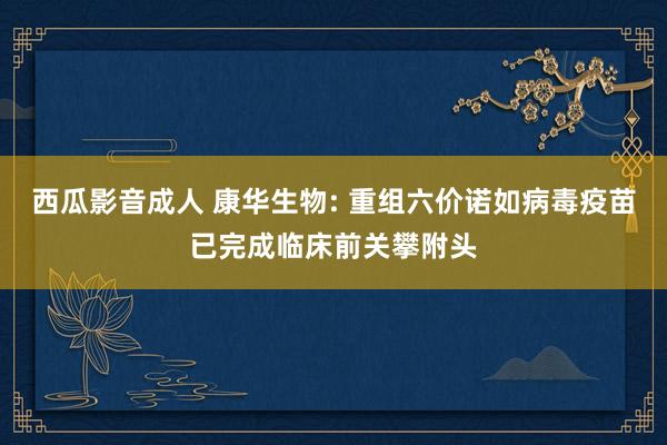 西瓜影音成人 康华生物: 重组六价诺如病毒疫苗已完成临床前关攀附头