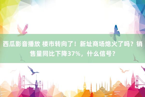 西瓜影音播放 楼市转向了！新址商场熄火了吗？销售量同比下降37%，什么信号？