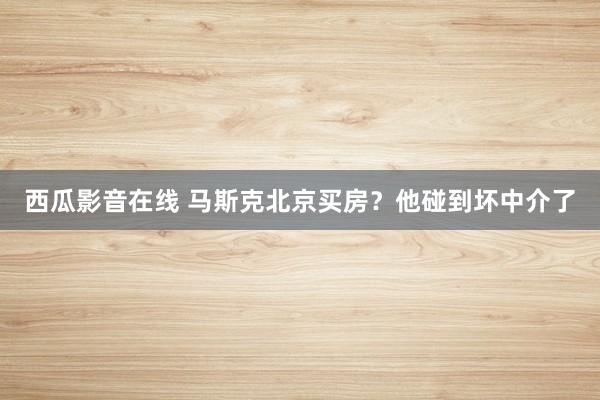 西瓜影音在线 马斯克北京买房？他碰到坏中介了