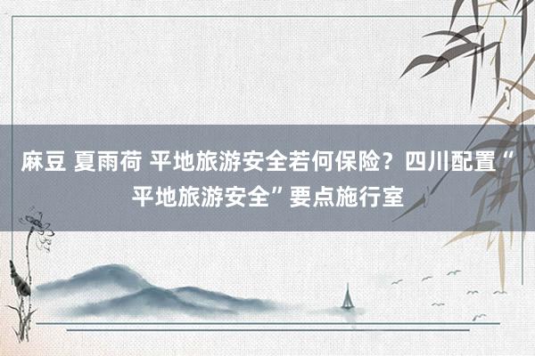麻豆 夏雨荷 平地旅游安全若何保险？四川配置“平地旅游安全”要点施行室