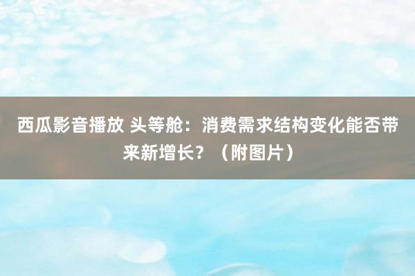 西瓜影音播放 头等舱：消费需求结构变化能否带来新增长？（附图片）