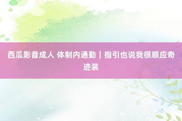 西瓜影音成人 体制内通勤｜指引也说我很顺应奇迹装