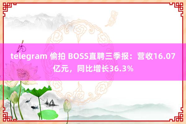 telegram 偷拍 BOSS直聘三季报：营收16.07亿元，同比增长36.3%