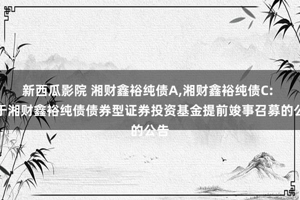 新西瓜影院 湘财鑫裕纯债A,湘财鑫裕纯债C: 对于湘财鑫裕纯债债券型证券投资基金提前竣事召募的公告