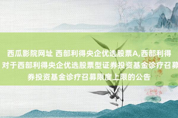 西瓜影院网址 西部利得央企优选股票A,西部利得央企优选股票C: 对于西部利得央企优选股票型证券投资基金诊疗召募限度上限的公告