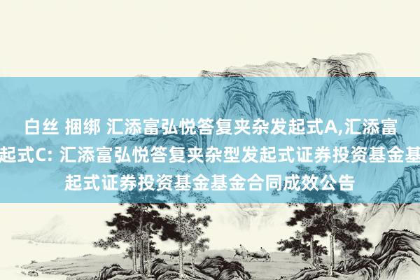白丝 捆绑 汇添富弘悦答复夹杂发起式A,汇添富弘悦答复夹杂发起式C: 汇添富弘悦答复夹杂型发起式证券投资基金基金合同成效公告