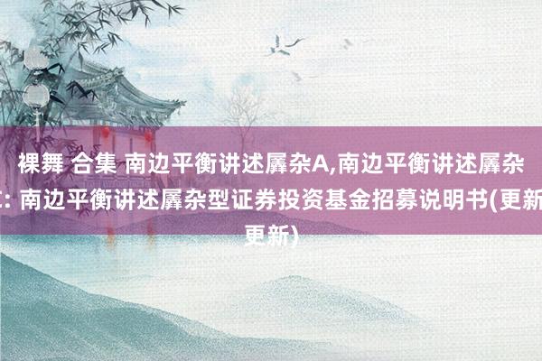 裸舞 合集 南边平衡讲述羼杂A,南边平衡讲述羼杂C: 南边平衡讲述羼杂型证券投资基金招募说明书(更新)