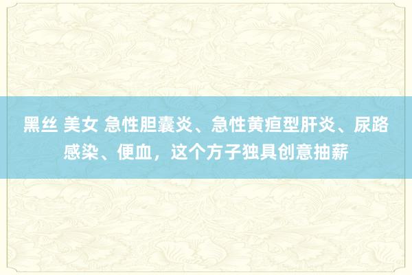 黑丝 美女 急性胆囊炎、急性黄疸型肝炎、尿路感染、便血,这个方子独具创意抽薪