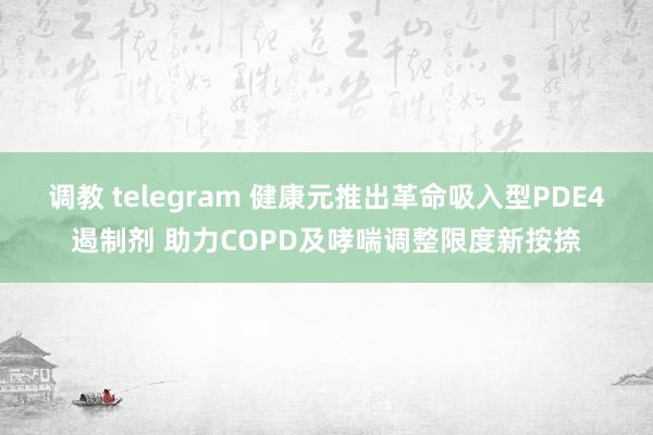 调教 telegram 健康元推出革命吸入型PDE4遏制剂 助力COPD及哮喘调整限度新按捺