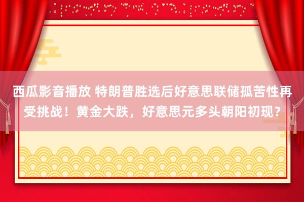 西瓜影音播放 特朗普胜选后好意思联储孤苦性再受挑战！黄金大跌，好意思元多头朝阳初现？