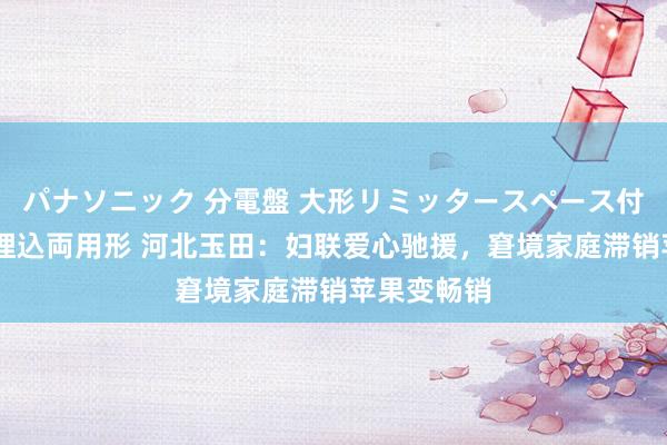 パナソニック 分電盤 大形リミッタースペース付 露出・半埋込両用形 河北玉田：妇联爱心驰援，窘境家庭滞销苹果变畅销