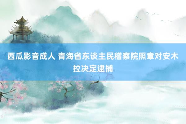 西瓜影音成人 青海省东谈主民稽察院照章对安木拉决定逮捕