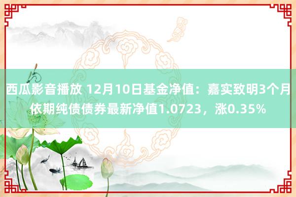 西瓜影音播放 12月10日基金净值：嘉实致明3个月依期纯债债券最新净值1.0723，涨0.35%