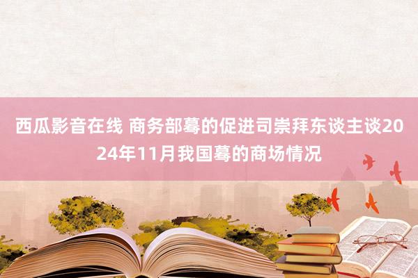西瓜影音在线 商务部蓦的促进司崇拜东谈主谈2024年11月我国蓦的商场情况