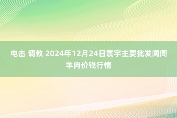 电击 调教 2024年12月24日寰宇主要批发阛阓羊肉价钱行情