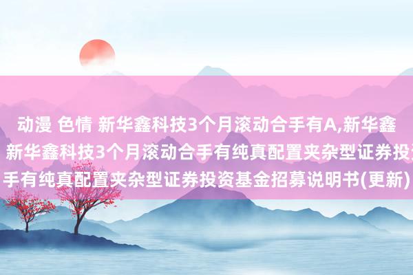 动漫 色情 新华鑫科技3个月滚动合手有A,新华鑫科技3个月滚动合手有C: 新华鑫科技3个月滚动合手有纯真配置夹杂型证券投资基金招募说明书(更新)