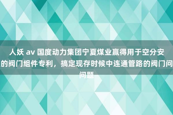 人妖 av 国度动力集团宁夏煤业赢得用于空分安装的阀门组件专利，搞定现存时候中连通管路的阀门问题