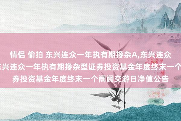 情侣 偷拍 东兴连众一年执有期搀杂A,东兴连众一年执有期搀杂C: 东兴连众一年执有期搀杂型证券投资基金年度终末一个阛阓交游日净值公告