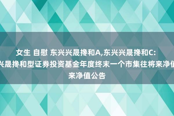 女生 自慰 东兴兴晟搀和A,东兴兴晟搀和C: 东兴兴晟搀和型证券投资基金年度终末一个市集往将来净值公告