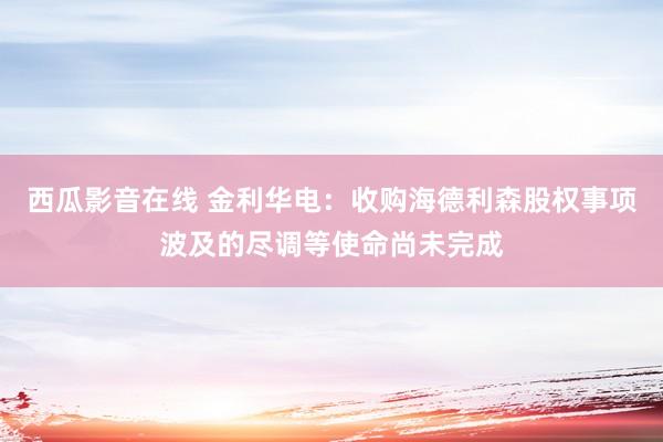 西瓜影音在线 金利华电：收购海德利森股权事项波及的尽调等使命尚未完成