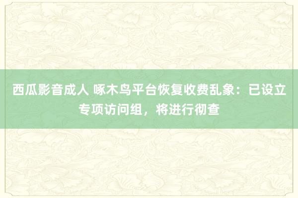西瓜影音成人 啄木鸟平台恢复收费乱象：已设立专项访问组，将进行彻查