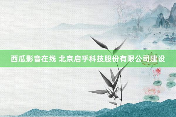 西瓜影音在线 北京启乎科技股份有限公司建设