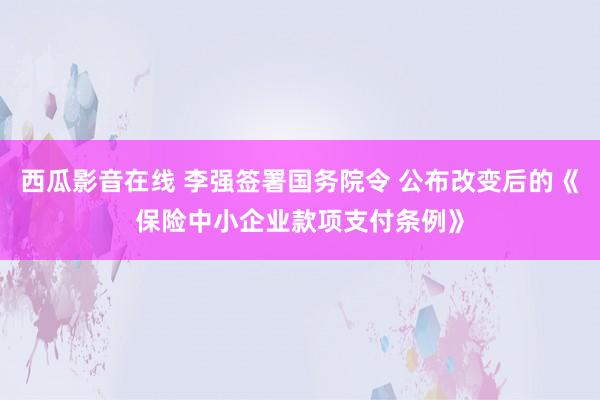 西瓜影音在线 李强签署国务院令 公布改变后的《保险中小企业款项支付条例》