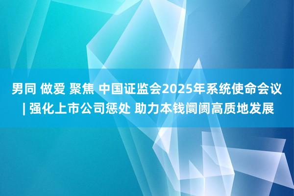 男同 做爱 聚焦 中国证监会2025年系统使命会议 | 强化上市公司惩处 助力本钱阛阓高质地发展