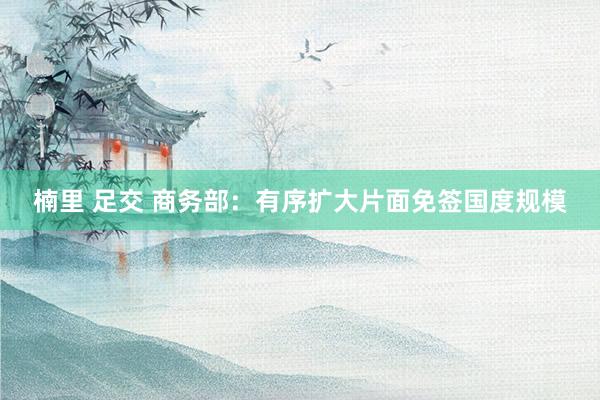 楠里 足交 商务部：有序扩大片面免签国度规模