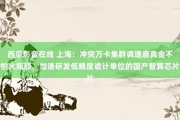 西瓜影音在线 上海：冲突万卡集群调理磨真金不怕火瓶颈，加速研发低精度诡计单位的国产智算芯片