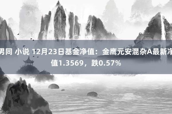 男同 小说 12月23日基金净值：金鹰元安混杂A最新净值1.3569，跌0.57%