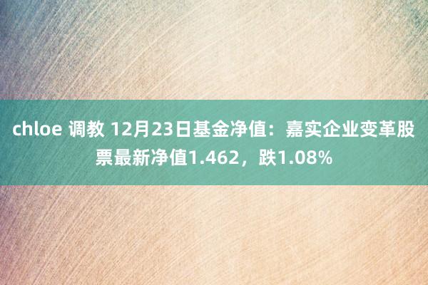 chloe 调教 12月23日基金净值：嘉实企业变革股票最新净值1.462，跌1.08%