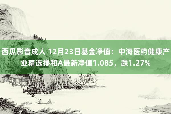西瓜影音成人 12月23日基金净值：中海医药健康产业精选搀和A最新净值1.085，跌1.27%
