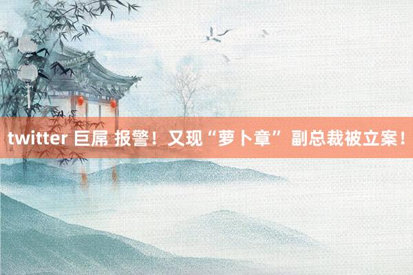 twitter 巨屌 报警！又现“萝卜章” 副总裁被立案！