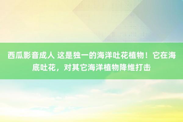 西瓜影音成人 这是独一的海洋吐花植物！它在海底吐花，对其它海洋植物降维打击