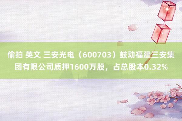 偷拍 英文 三安光电（600703）鼓动福建三安集团有限公司质押1600万股，占总股本0.32%