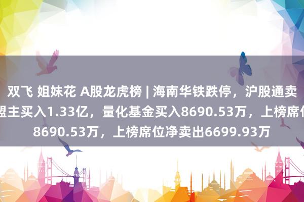 双飞 姐妹花 A股龙虎榜 | 海南华铁跌停，沪股通卖出2.18亿，游资章盟主买入1.33亿，量化基金买入8690.53万，上榜席位净卖出6699.93万