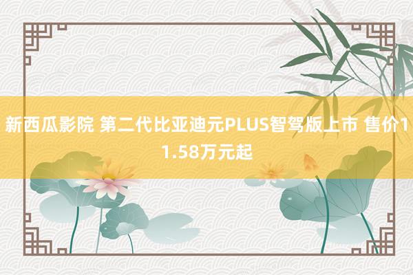 新西瓜影院 第二代比亚迪元PLUS智驾版上市 售价11.58万元起
