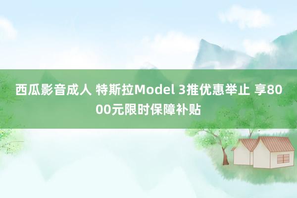 西瓜影音成人 特斯拉Model 3推优惠举止 享8000元限时保障补贴