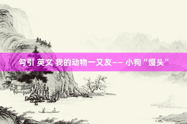 勾引 英文 我的动物一又友—— 小狗“馒头”