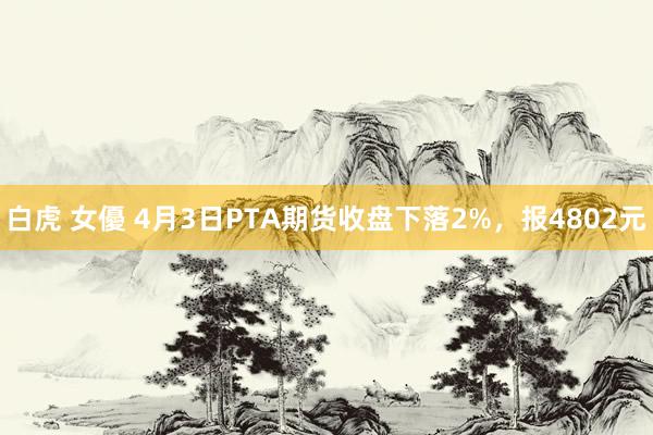 白虎 女優 4月3日PTA期货收盘下落2%，报4802元