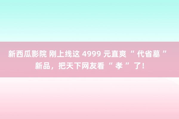 新西瓜影院 刚上线这 4999 元直爽 “ 代省墓 ” 新品，把天下网友看 “ 孝 ” 了！
