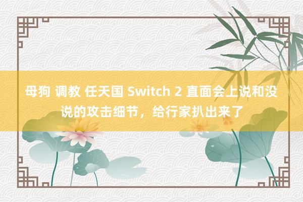母狗 调教 任天国 Switch 2 直面会上说和没说的攻击细节，给行家扒出来了