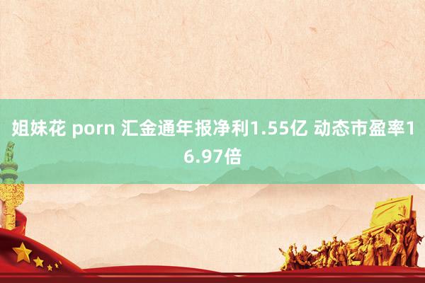 姐妹花 porn 汇金通年报净利1.55亿 动态市盈率16.97倍