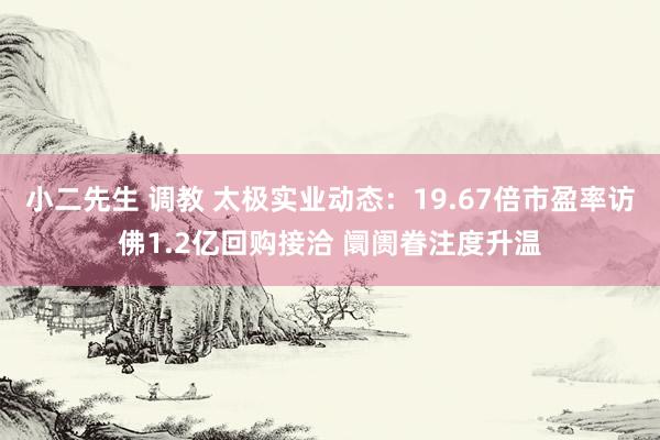 小二先生 调教 太极实业动态：19.67倍市盈率访佛1.2亿回购接洽 阛阓眷注度升温