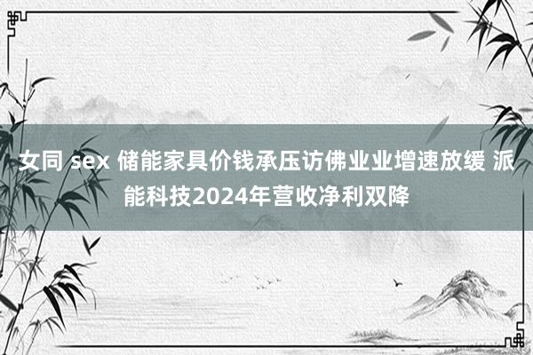 女同 sex 储能家具价钱承压访佛业业增速放缓 派能科技2024年营收净利双降