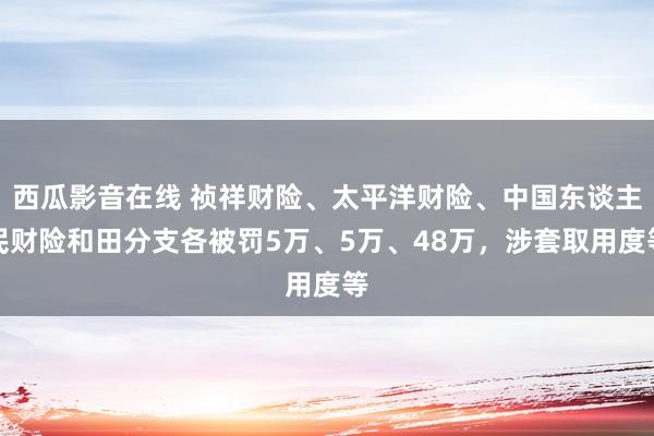 西瓜影音在线 祯祥财险、太平洋财险、中国东谈主民财险和田分支各被罚5万、5万、48万，涉套取用度等