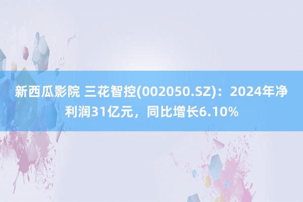 新西瓜影院 三花智控(002050.SZ)：2024年净利润31亿元，同比增长6.10%