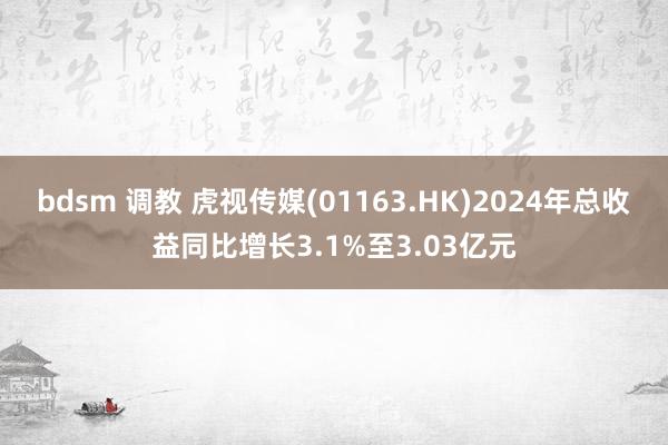 bdsm 调教 虎视传媒(01163.HK)2024年总收益同比增长3.1%至3.03亿元
