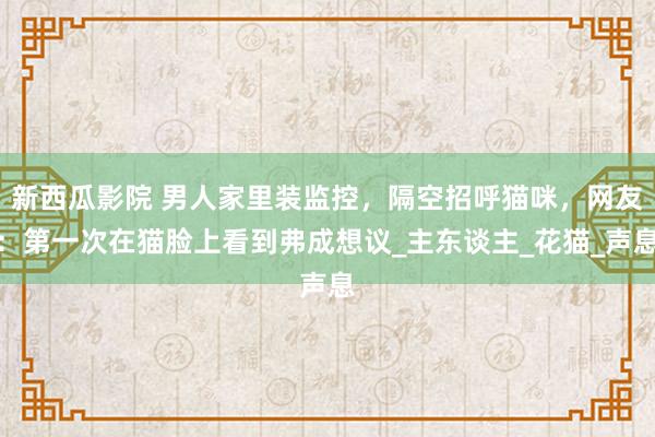 新西瓜影院 男人家里装监控，隔空招呼猫咪，网友：第一次在猫脸上看到弗成想议_主东谈主_花猫_声息